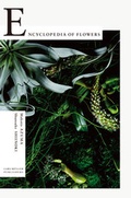 Cover: Encyclopedia of Flowers - Lars M&uuml;ller Publishers