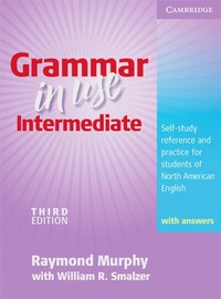Abbildung von: Grammar in Use - Klett
