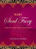 Cover: Rumi: Soul Fury - HarperCollins