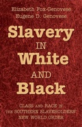 Cover: Slavery in White and Black - Cambridge University Press
