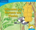 Cover: Miomva ya Nwana wa Thoho (Tshivenda) - Cambridge University Press
