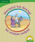 Cover: Murunzi wa donngi na zwinwe zwitori (Tshivenda) - Cambridge University Press
