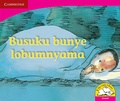 Cover: Busuku bunye lobumnyama (Siswati) - Cambridge University Press