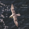 Cover: Wild Looe - Alison Hodge