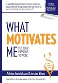 Cover: What Motivates Me - The Culture Works