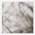 Cover: The Pool - Triplekite Publishing