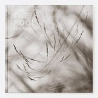 Enlarge image Cover: The Pool - Triplekite Publishing