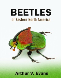 Abbildung von: Beetles of Eastern North America - Princeton University Press