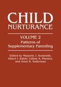 Cover: Patterns of Supplementary Parenting - Springer
