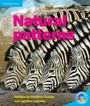 Cover: Natural Patterns - Cambridge University Press