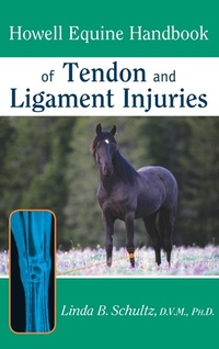 Abbildung von: Howell Equine Handbook of Tendon and Ligament Injuries - Howell Books