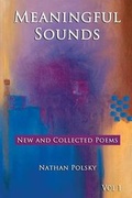 Cover: Meaningful Sounds - Suncoast Digital Press, Incorporated