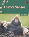 Cover: Animal Senses India edition - Cambridge University Press