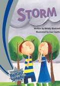 Cover: Bright Sparks: The Storm - Cambridge University Press