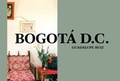 Cover: Guadalupe Ruiz - Bogot&aacute; D.C. - Scheidegger & Spiess