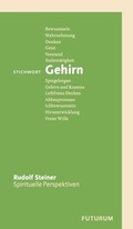 Cover: Stichwort Gehirn - Futurum