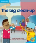 Cover: The Big Clean-up - Cambridge University Press