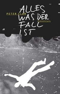 Enlarge image Cover: Alles was der Fall ist - Sonderzahl
