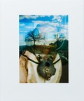 Cover: Loch im Spiegel - Edition Patrick Frey