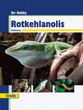 Cover: Rotkehlanolis - Verlag Eugen Ulmer