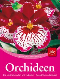 Enlarge image Cover: Orchideen - BLV