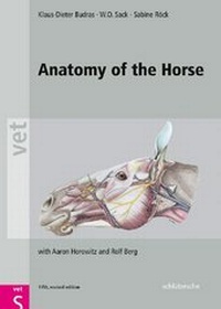 Abbildung von: Anatomy of the Horse - Schlütersche