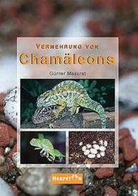 Abbildung von: Vermehrung von Chamäleons - HERPETON