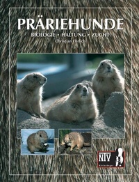Abbildung von: Präriehunde - Natur und Tier