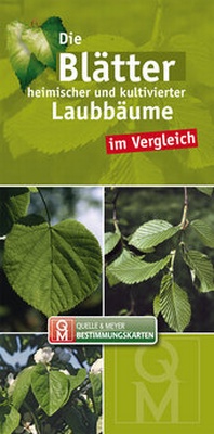 Abbildung von: Die Blätter heimischer und kultivierter Laubbäume im Vergleich - Quelle & Meyer