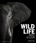 Cover: Wild Life - Prestel
