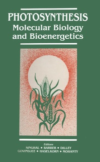 Enlarge image Cover: Photosynthesis - Springer
