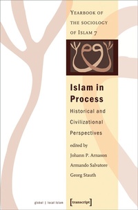 Abbildung von: Islam in Process - transcript