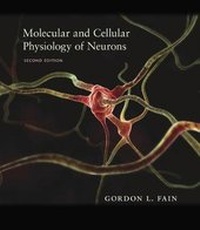 Abbildung von: Molecular and Cellular Physiology of Neurons - Harvard University Press