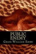 Cover: Public Enemy - Cold Fish Books