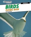 Cover: Birds: Flying High - PowerKids Press