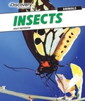 Cover: Insects - PowerKids Press