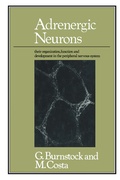 Bild: Adrenergic Neurons - Springer