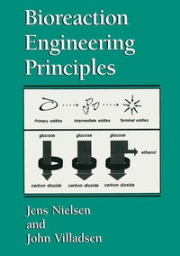 Enlarge image Cover: Bioreaction Engineering Principles - Springer