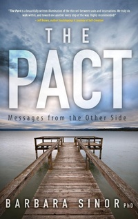 Enlarge image Cover: The Pact - Marvelous Spirit Press