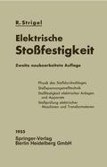 Cover: Elektrische Sto&szlig;festigkeit - Springer