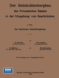 Cover: Das Saarbr&uuml;cker Steinkohlengebirge - Springer