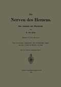 Abbildung von: Die Nerven des Herzens - Springer