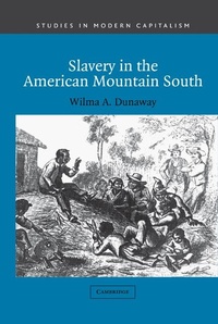 Abbildung von: Slavery in the American Mountain South - Cambridge University Press
