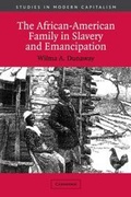Cover: The African-American Family in Slavery and Emancipation - Cambridge University Press