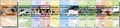 Cover: Paket "Doppelstunde Sport" - Hofmann-Verlag