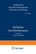 Cover: Weibliche Geschlechtsorgane - Springer