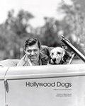 Cover: Hollywood Dogs - Kynos