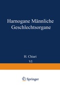 Cover: Harnorgane M&auml;nnliche Geschlechtsorgane - Springer