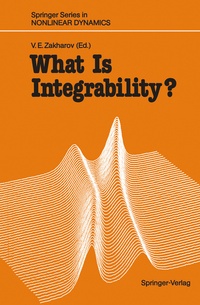 Enlarge image Cover: What Is Integrability? - Springer