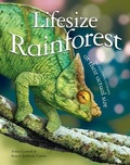 Cover: Lifesize Rainforest - Kingfisher Books Ltd